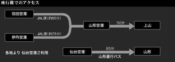 飛行機でアクセス