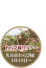 わらび採りツアー